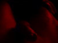 Voor meer vragen . Vraagje maar