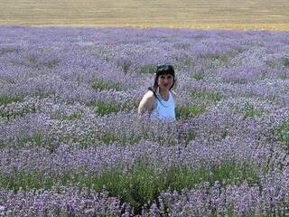 sexcam show AvroraFlower